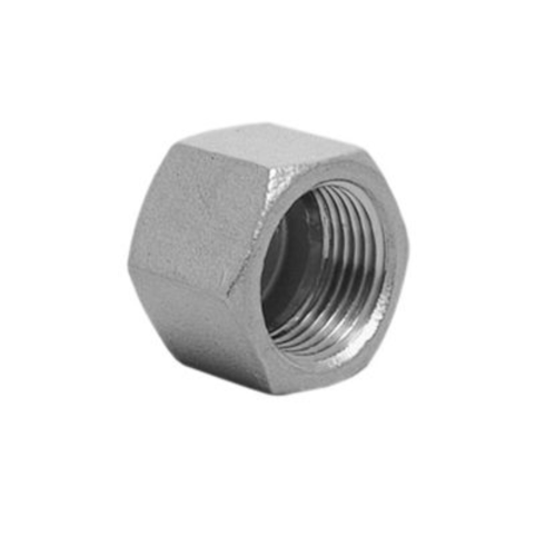 Raccorderia acciaio inox 316 tappo femmina